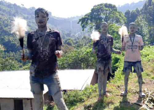 Cultural Tours