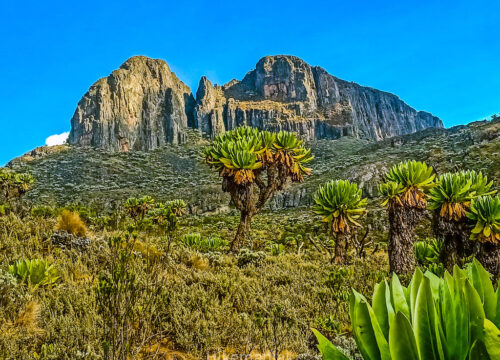 Mt.Elgon Hike