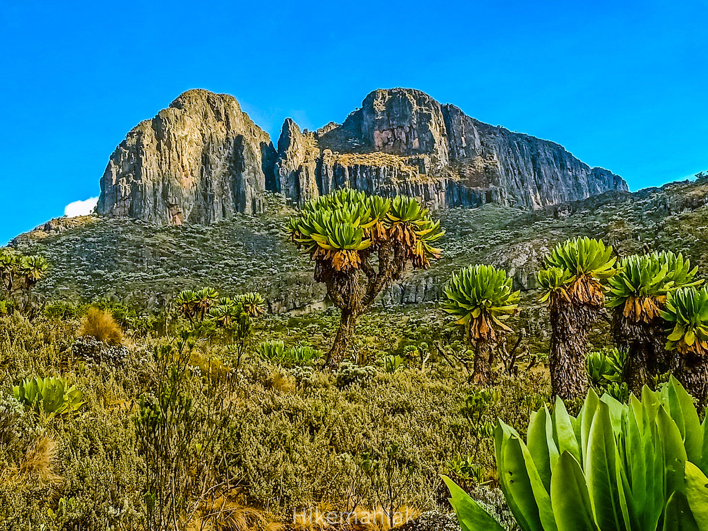 Mt.Elgon Hike
